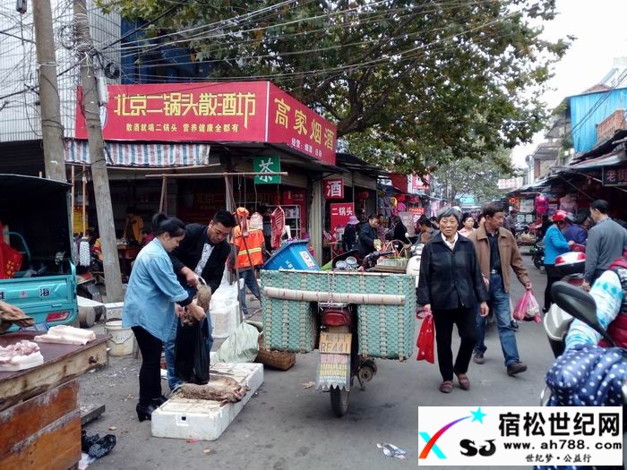 QQ图片20161016002935.jpg