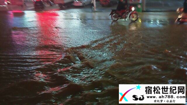 vwoPwxCKI7n0.jpg
