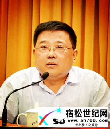 宿松电子信息产业发展恳谈会在深圳成功召开 (5).png