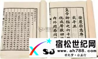 【史记】十里桃源古洞幽1.jpg