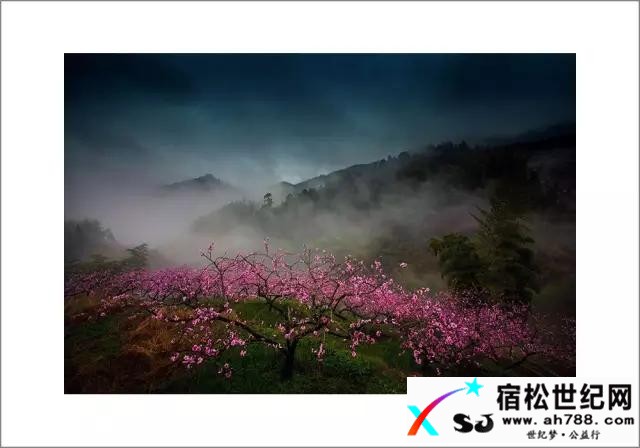 【史记】十里桃源古洞幽91.jpg