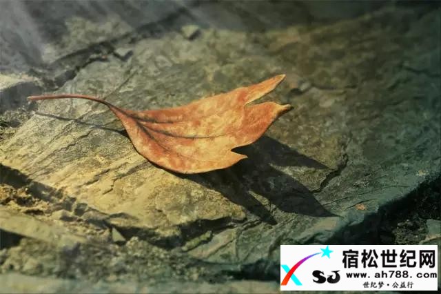 7ce8018.jpg