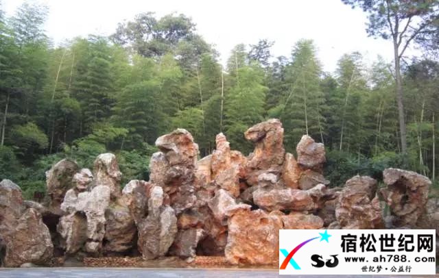 21ff095.jpg