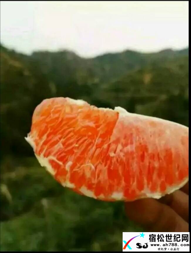 YWugoEWzRDf9.jpg