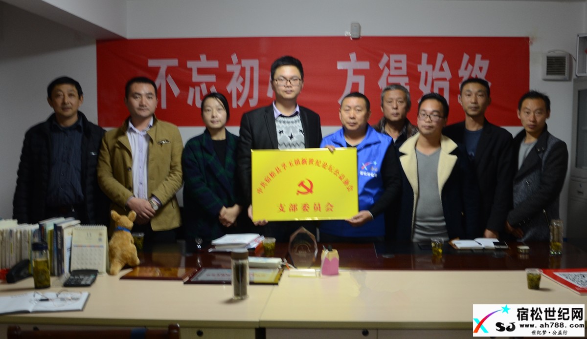 中共宿松县孚玉镇党委向新世纪论坛公益协会党支部授牌..jpg