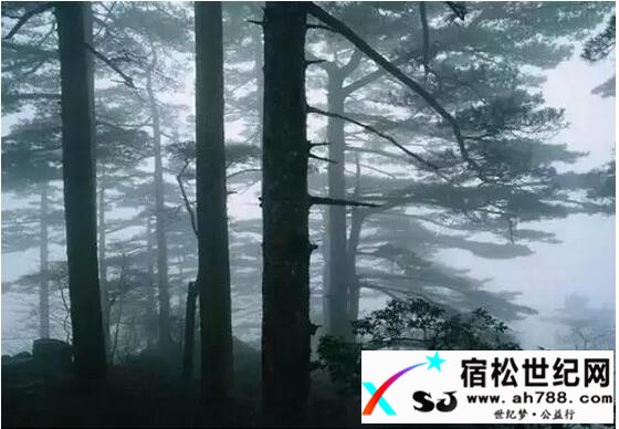 QQ截图20161118111201.jpg
