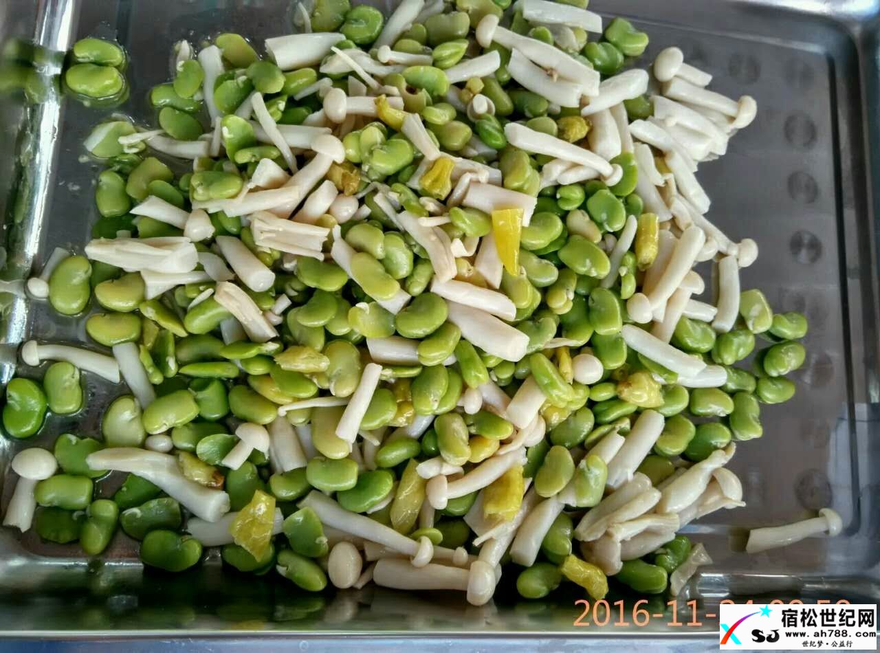 宿松玉兰素食坊.jpg