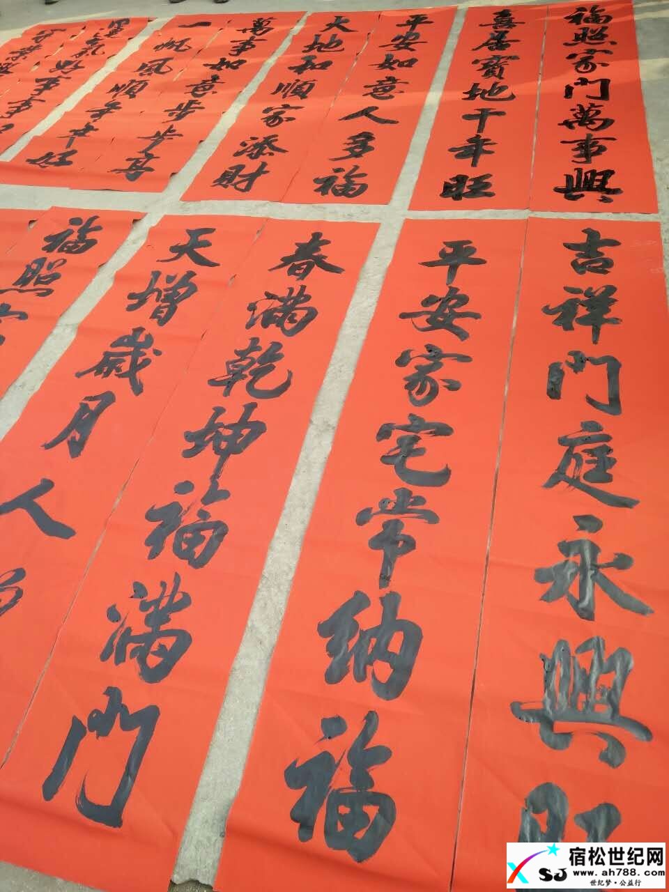 学生们精彩的瞬间mmexport1480485495840.jpg