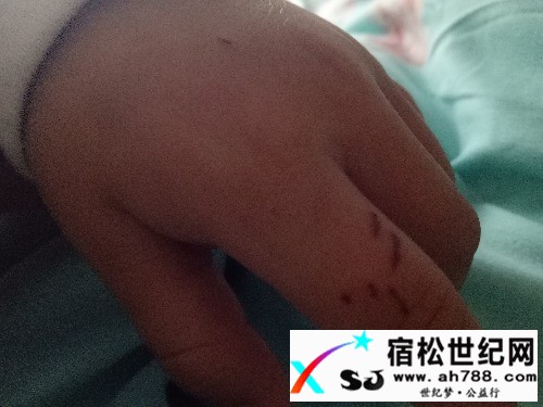 IMG20161212075855.jpg