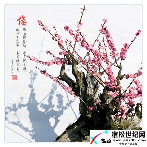 2010030219314331433.JPG