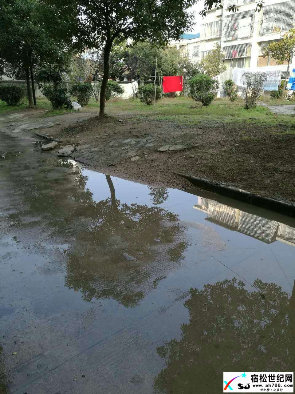 373005915891600118.jpg