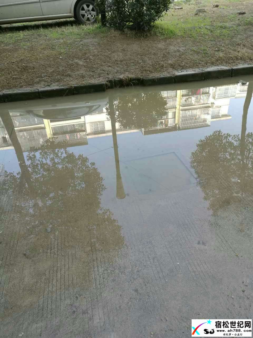 564541834343752160.jpg