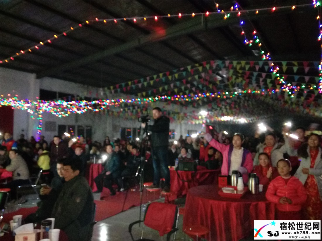 宿松红爱十年感恩同行！2017新年晚会现场 (10).jpg