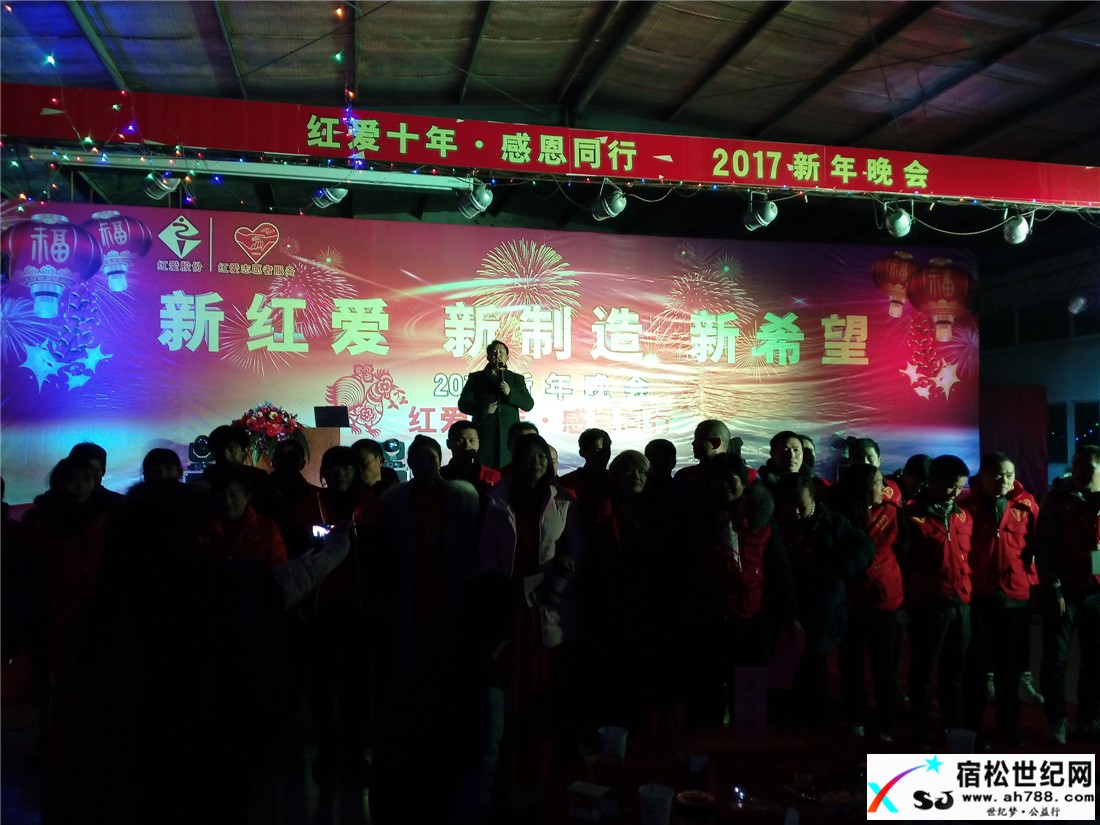 宿松红爱十年感恩同行！2017新年晚会现场 (12).jpg