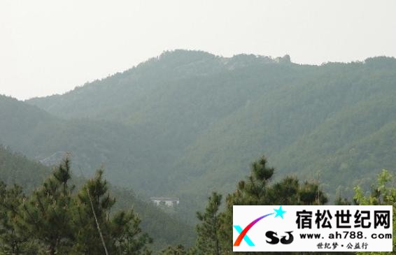 87deda6ex776461246a82&amp;690.jpg
