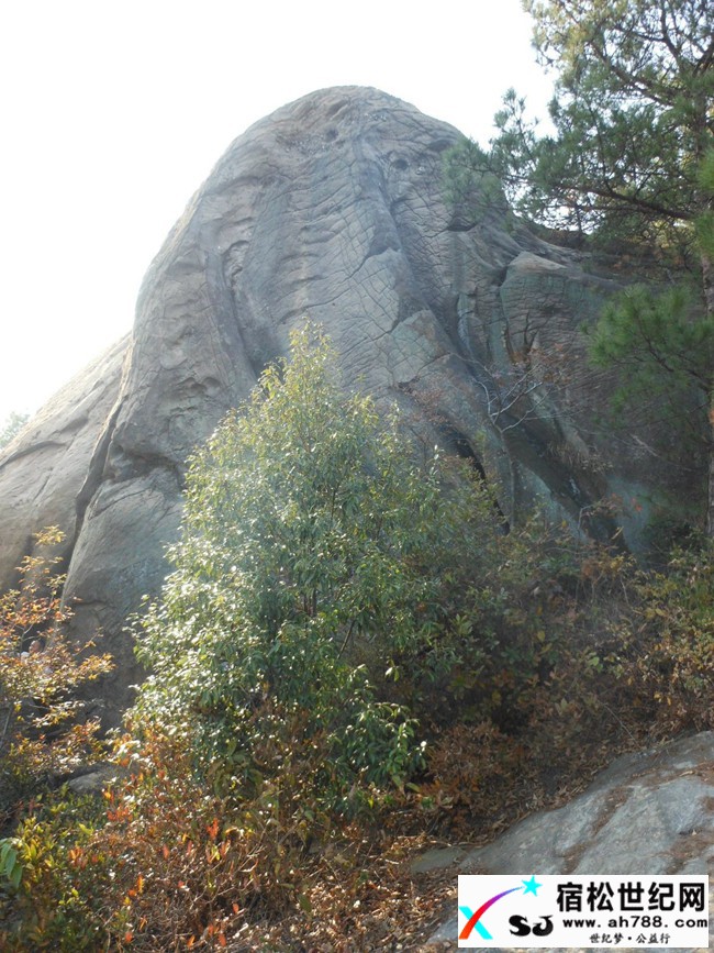 1887248_577779.jpg