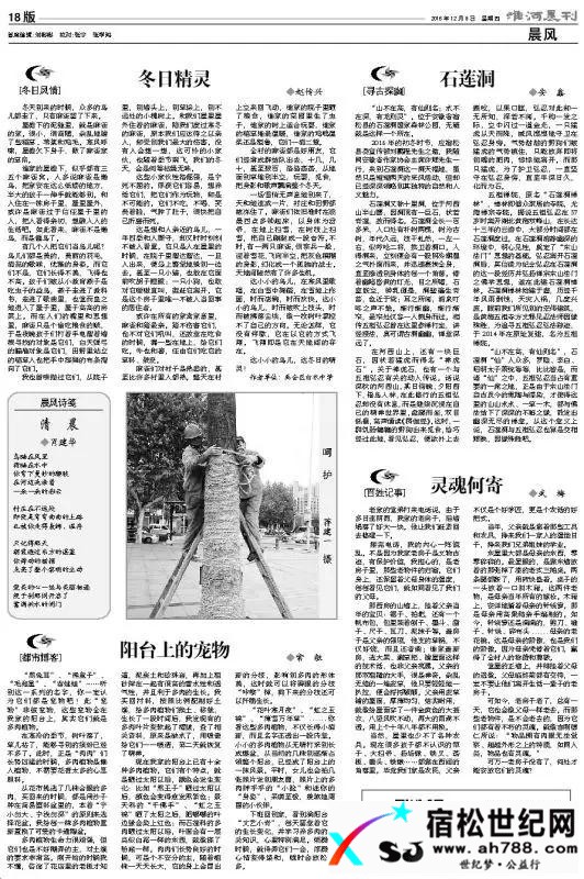 065a733.jpg