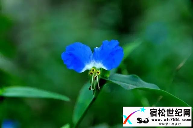 8d1a96f.jpg