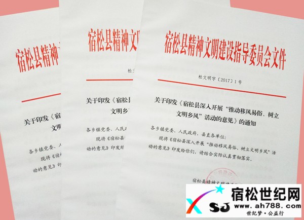 宿松县文明委出台《意见》推动移风易俗活动.jpg