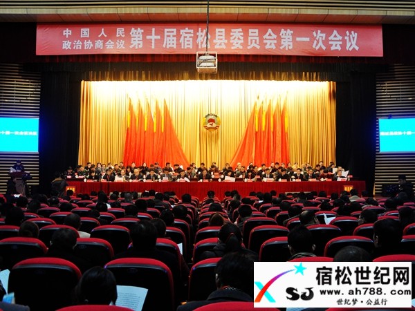 宿松县政协十届一次会议胜利闭幕.jpg