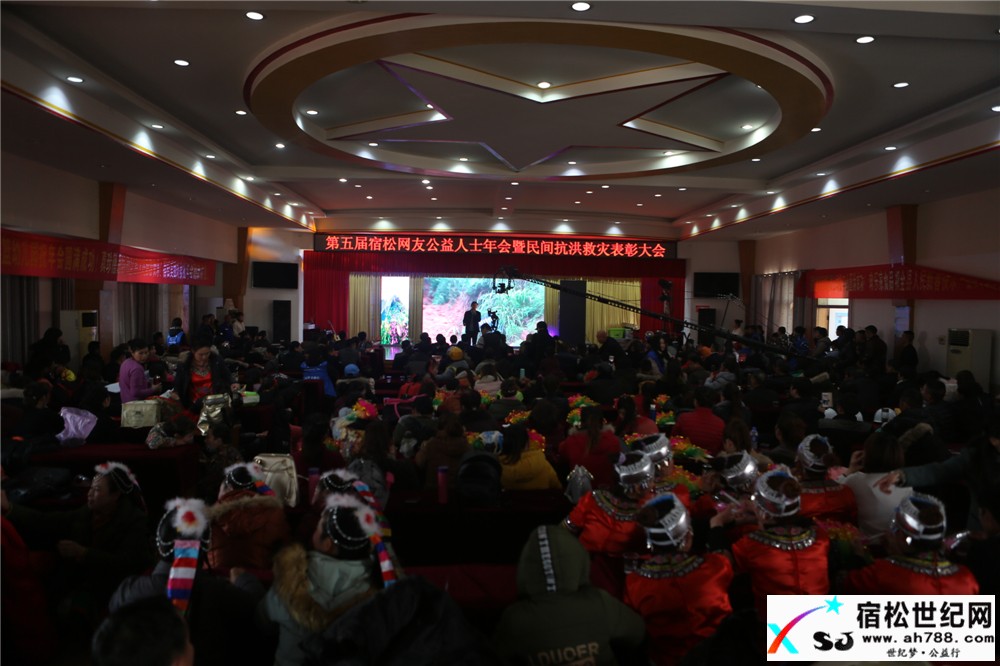 第五届宿松网友公益人士年会暨民间抗洪救灾表彰大会4.jpg