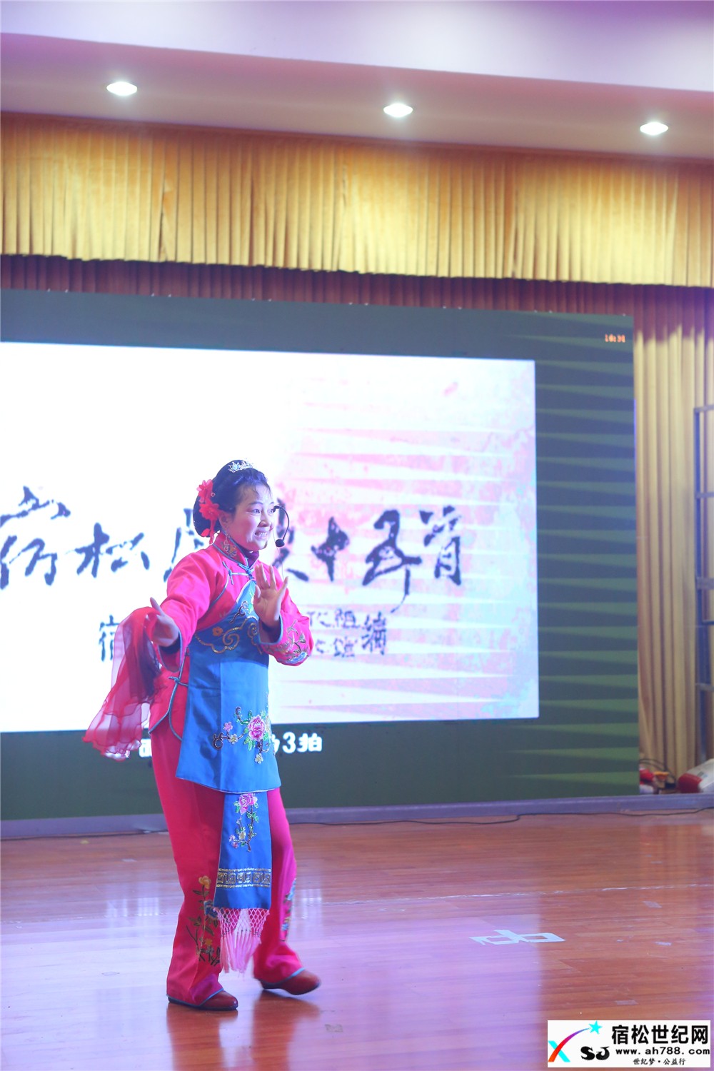 第五届宿松网友公益人士年会暨民间抗洪救灾表彰大会18.jpg