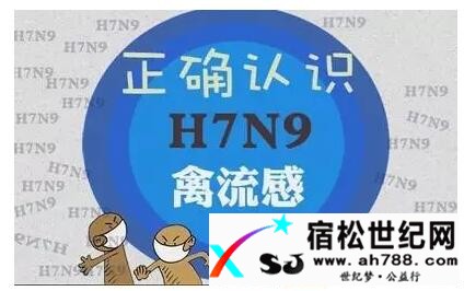 QQ截图20170213205204.jpg