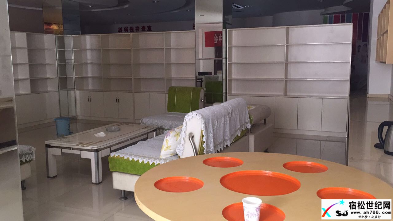 松子书屋首批书籍整理工作完成，期待您的支持与参与！宿松世纪网