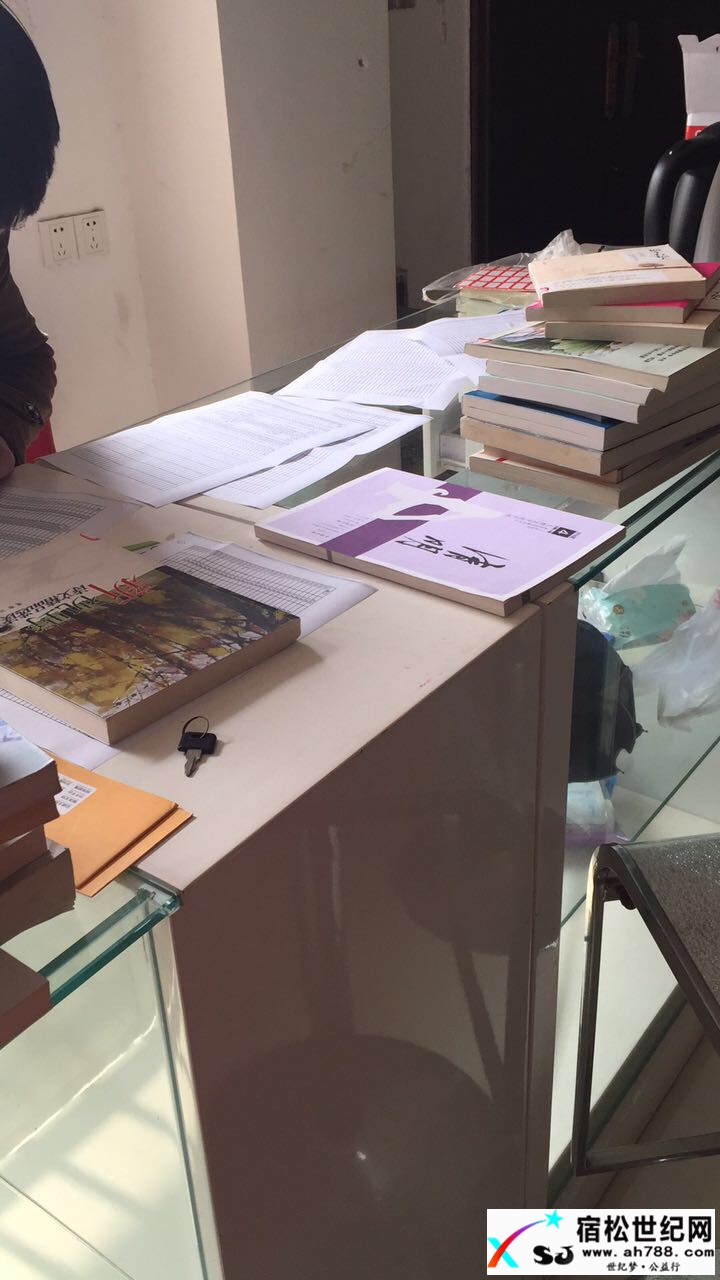 松子书屋首批书籍整理工作完成，期待您的支持与参与！宿松世纪网