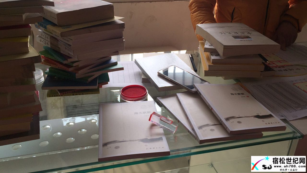 松子书屋首批书籍整理工作完成，期待您的支持与参与！宿松世纪网