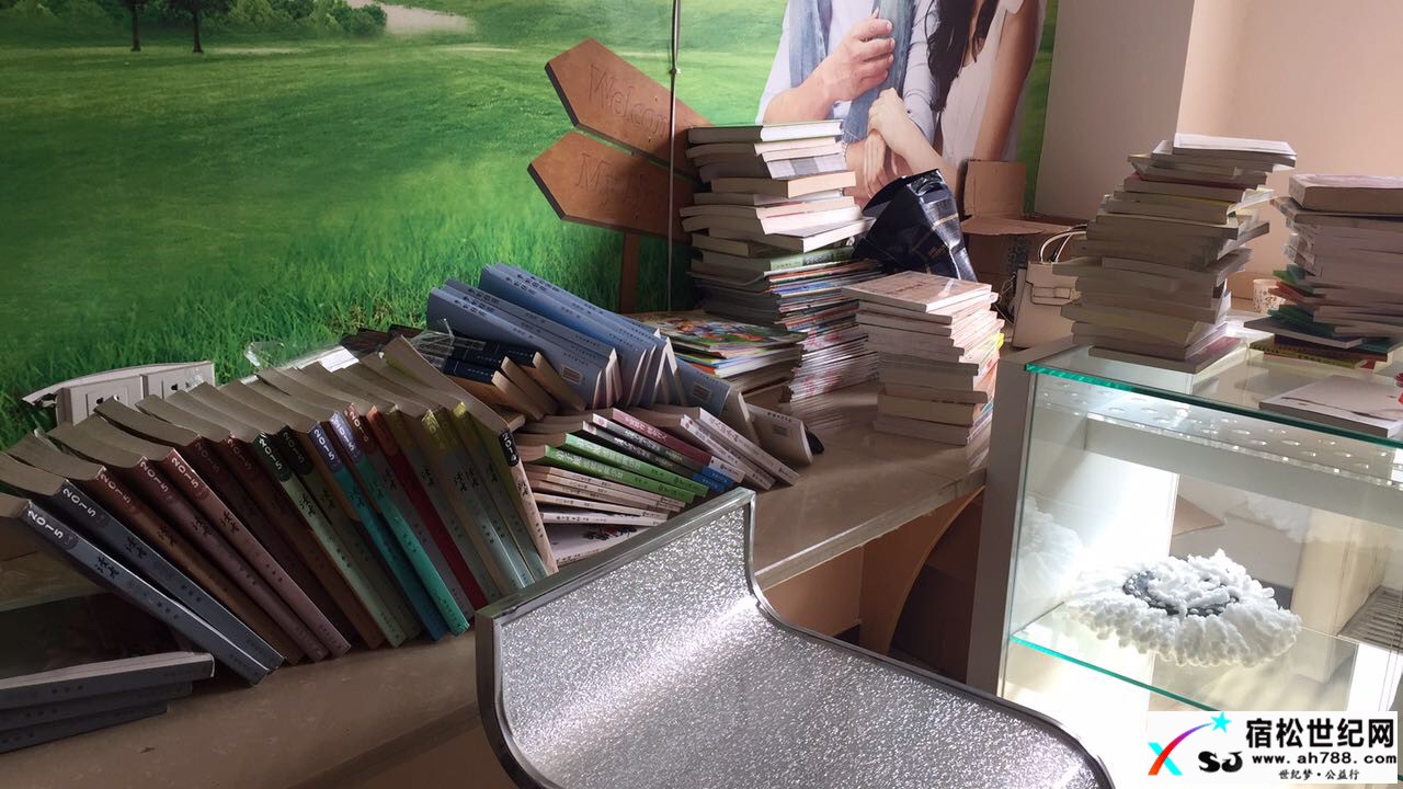 松子书屋首批书籍整理工作完成，期待您的支持与参与！宿松世纪网