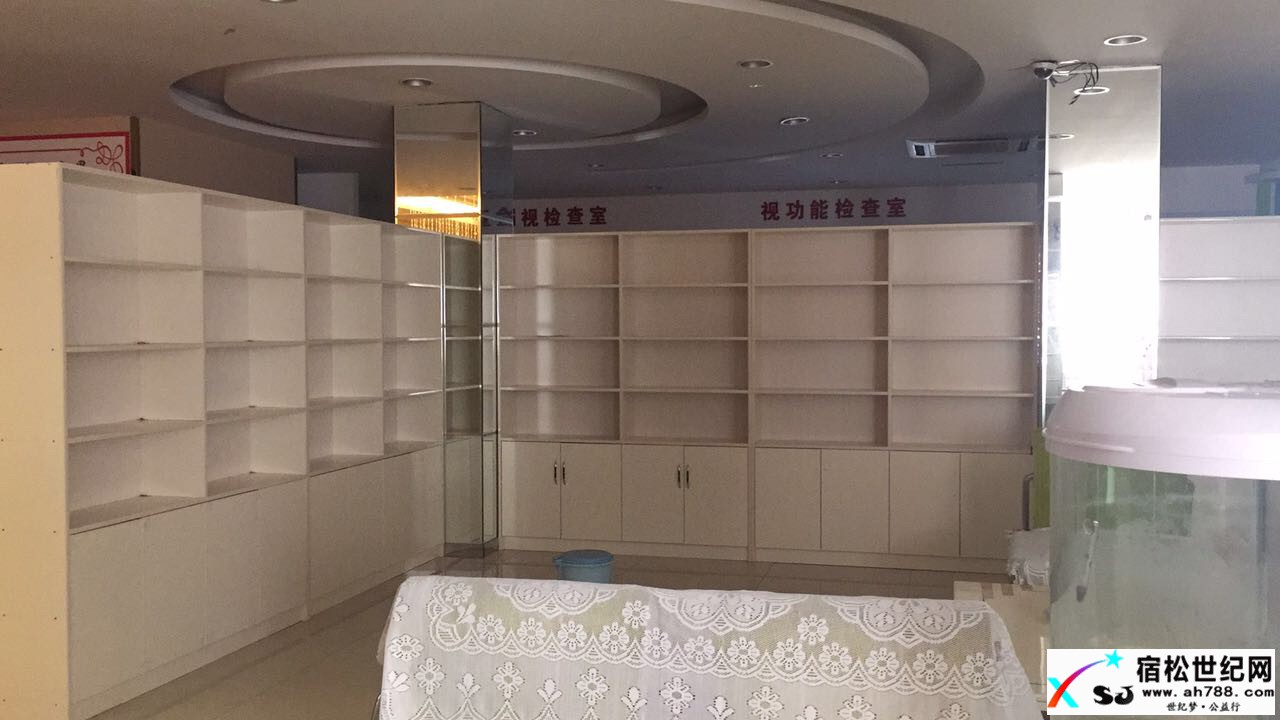 松子书屋首批书籍整理工作完成，期待您的支持与参与！宿松世纪网