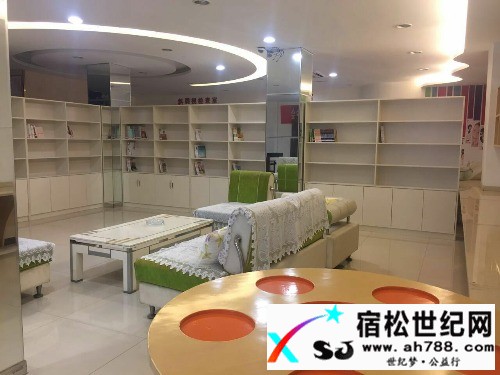 宿松首家公益书屋――松子书屋迎来捐书热潮宿松世纪网