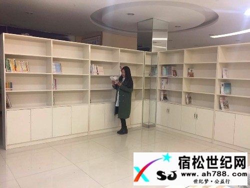 宿松首家公益书屋――松子书屋迎来捐书热潮宿松世纪网