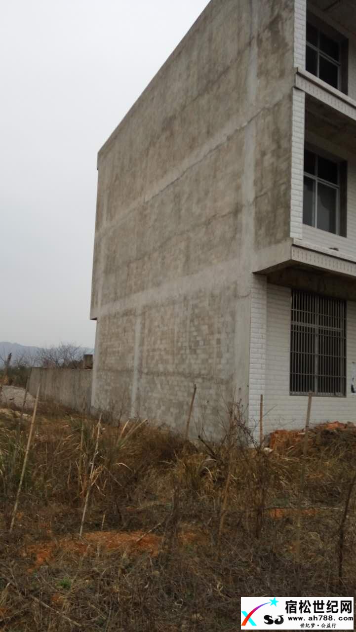 侧面照