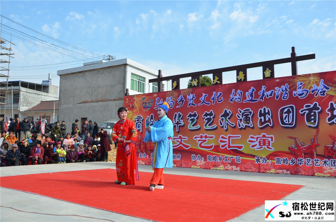宿松华艺艺术团开业首场演出隆重举行宿松世纪网