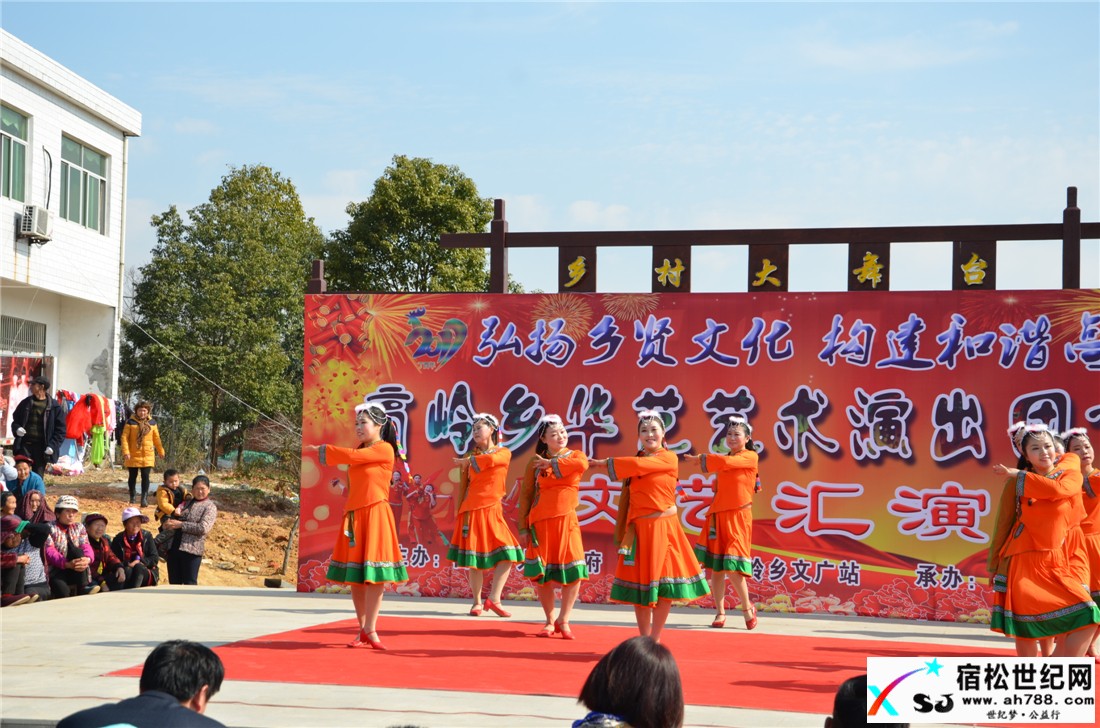 宿松华艺艺术团开业首场演出隆重举行宿松世纪网
