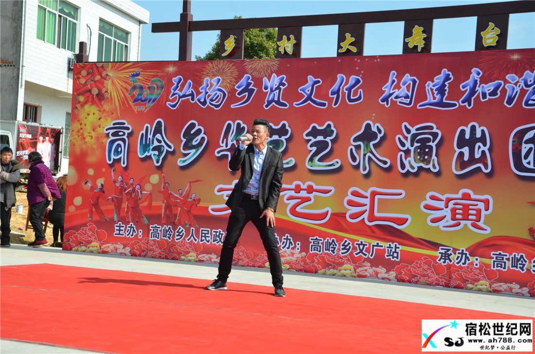 宿松华艺艺术团开业首场演出隆重举行宿松世纪网