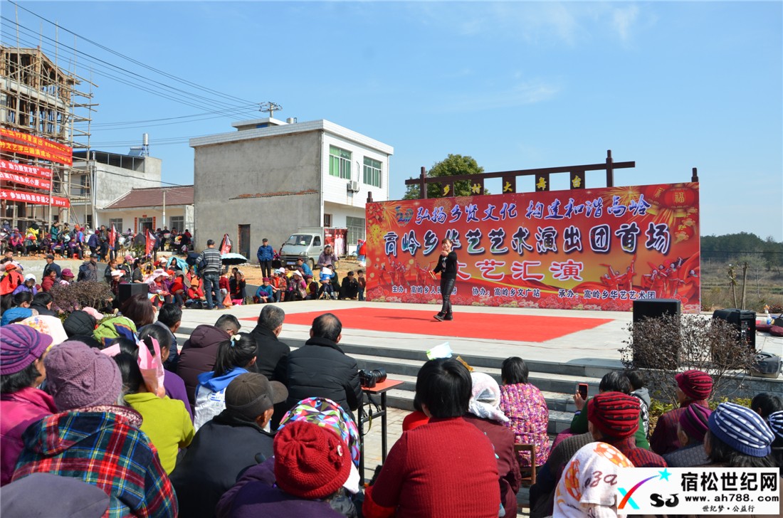 宿松华艺艺术团开业首场演出隆重举行宿松世纪网