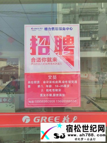 宿松格力空调招聘客服人员宿松世纪网