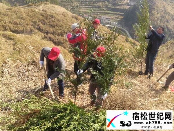宿松北浴：开展志愿植树 建设生态北浴宿松世纪网
