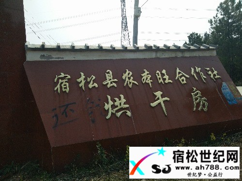农本旺，还我血汗钱！！！宿松世纪网