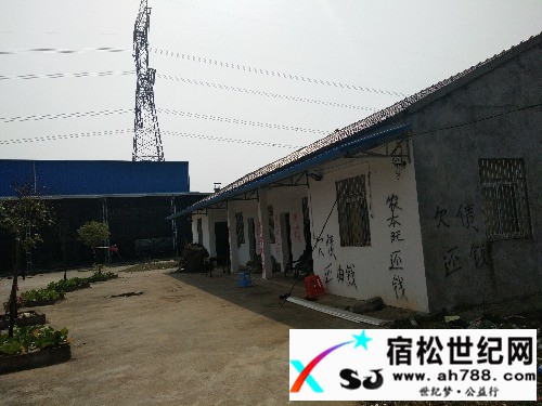 农本旺，还我血汗钱！！！宿松世纪网
