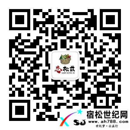 宿松县首任县--张何丹宿松世纪网