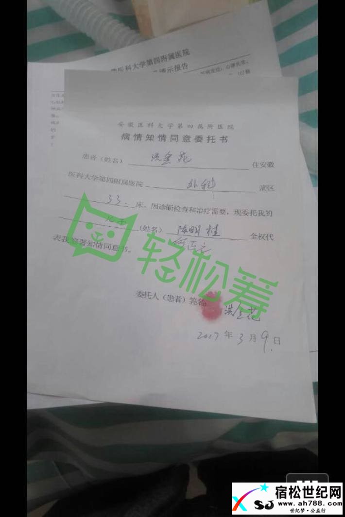 汇聚小爱，成就大爱宿松世纪网