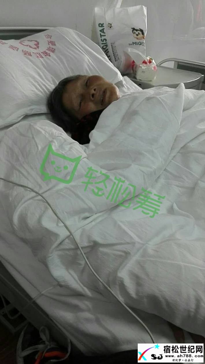 汇聚小爱，成就大爱宿松世纪网