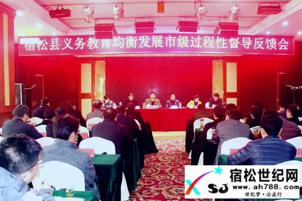 宿松县接受义务教育均衡发展市级过程性督导评估宿松世纪网