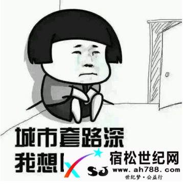 我走过最长的路就是你的套路！！！宿松世纪网