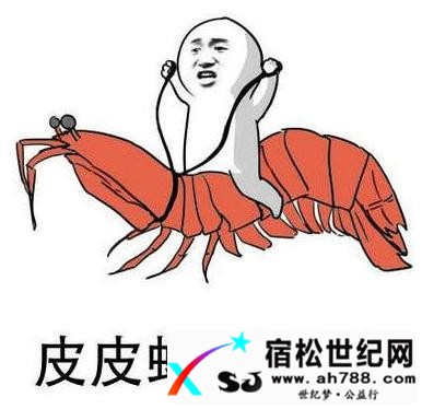 我走过最长的路就是你的套路！！！宿松世纪网