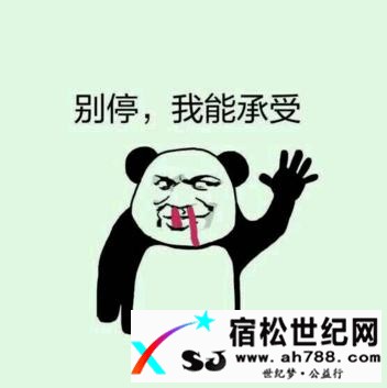 我走过最长的路就是你的套路！！！宿松世纪网